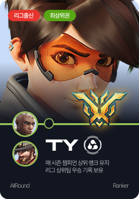 오버워치 대리 TY 기사